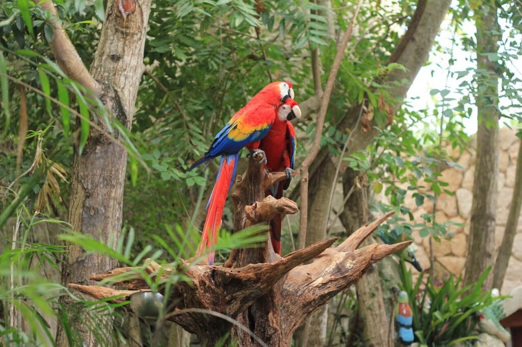 SITIOS TURISTICOS DE CUNDINAMARCA